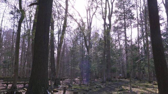 Historic Lily Dale Spiritualist community in upstate New York
