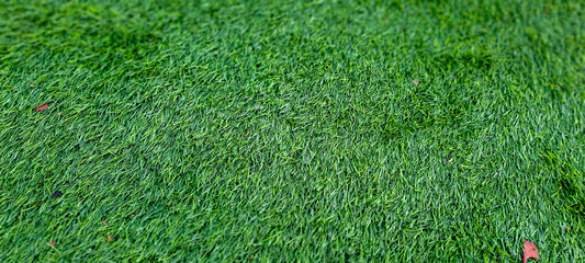 Green artificial grass turf surface texture background for sports and decoration © ADP
