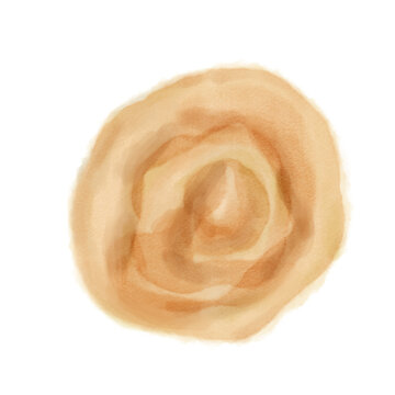 Watercolor peach rose illustration, single flower, hand painted, white background