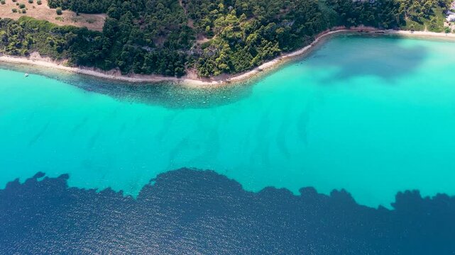 Aerial view of turquoise sea and lush green forest shoreline