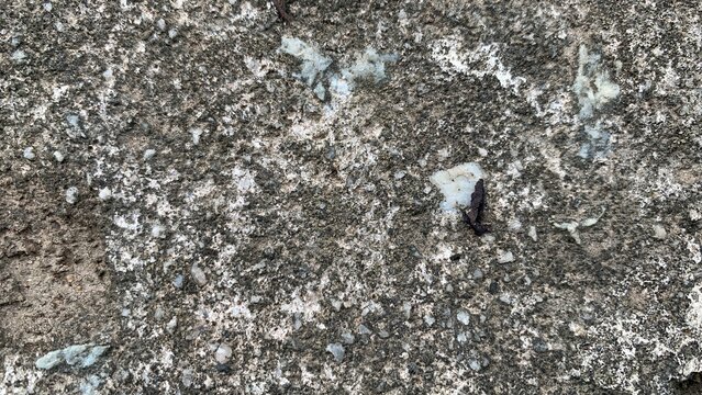 Weathered concrete surface with exposed aggregate and rough texture, illustrating material aging and environmental exposure