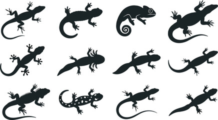 Fototapeta premium Lizard Silhouette Icon Set Featuring Black Reptile Shapes, Gecko, Chameleon, Salamander, and Amphibian Vectors for Graphic Design, Tattoos, and Crafting Projects