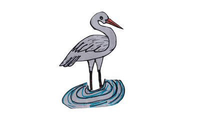 Grey crane bird standing in water isolated on transparent background