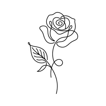 One line continuous line art rose flower vector illustration