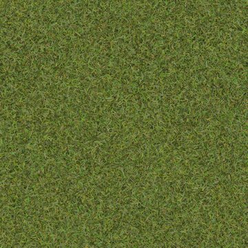 A seamless, tileable green grass texture featuring a dense, healthy natural lawn viewed from directly above.