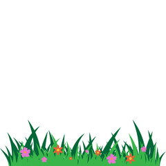 Fototapeta premium Grass flowers Illustration