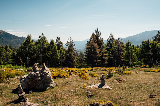 Corsican high mountain landscape with wildflowers and steep rock face