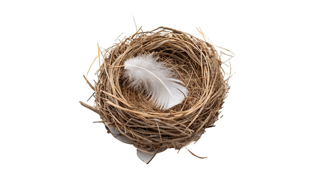 Natural empty bird nest made of twigs isolated on transparent background