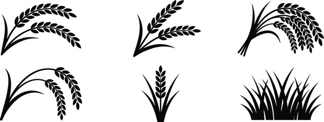 Fototapeta premium Wheat ear and paddy rice silhouette icon set for agriculture, organic farming, and grain harvest vector