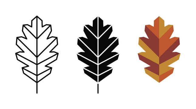 Set of three oak leaf icons in line art solid black and flat color style Vector
