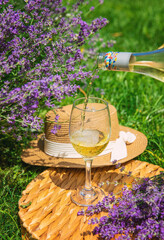Obraz premium Wine in a lavender field. Selective focus.