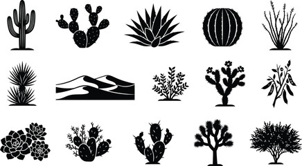 Black and white desert plant featuring various cacti, succulents, agave, sand dunes, and desert shrubs in a flat style © Graphic Shops