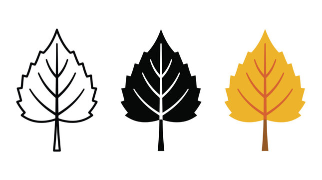 Set of three birch leaf icons in line art solid black and flat color styles Vector
