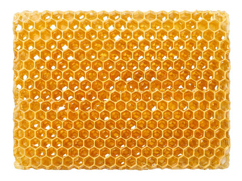 Close-up of raw honeycomb with hexagonal cells on transparent background.