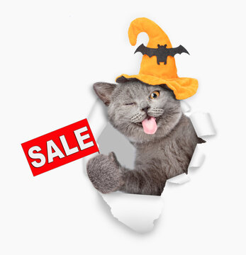 Winking cat with tongue out wearing hat for halloween looks through a hole in white paper and shows signboard with labeled "sale"