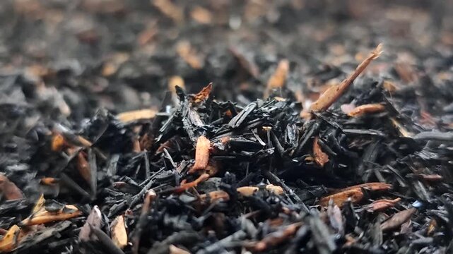 Burnt rice husk (carbonized rice hull) organic fertilizer and planting medium for gardening. This material loosens the soil, improves drainage and water absorption, and neutralizes pH