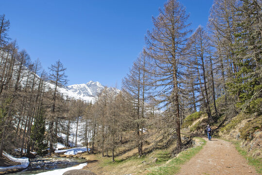 footpath borded by trees crossing a mountainous landscaped  in alpine valley under blue sky in Tarentaise savoie france