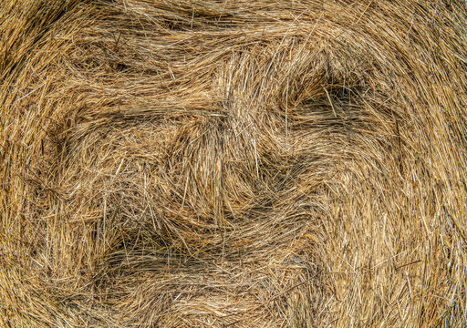 closeup on hay bales with golden straw forming a background textured