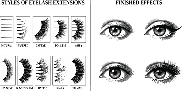 Eyelash extension styles diagram chart illustration showing natural wispy volume hybrid dramatic types and finished beauty makeup effects vectors