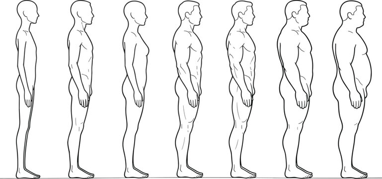 Human body mass index BMI scale diagram vector illustration showing range from underweight to muscular athletic and obese silhouettes