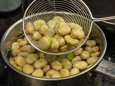 Broad beans or fava beans closeup