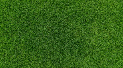 Fototapeta premium Overhead View of Lush Vibrant Green Grass Turf Background