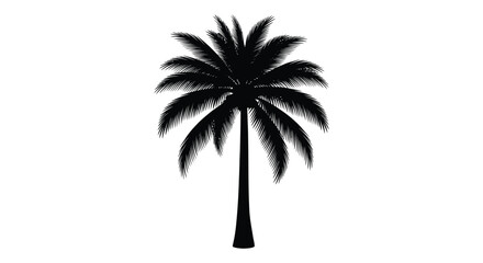 Fototapeta premium Palm tree silhouette against a white background a tropical plant depiction silhouette
