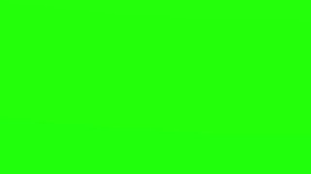 Chroma key background provides a solid green screen for professional video editing and compositing.