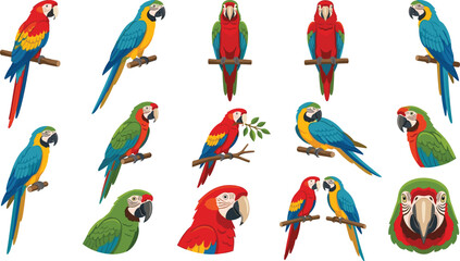 Colorful Parrot Character Set Featuring Green Macaws, Perched Birds, Olive Branches, Parrot Couples, and Front Facing Portraits for Vector Graphic Designs © Creative collection