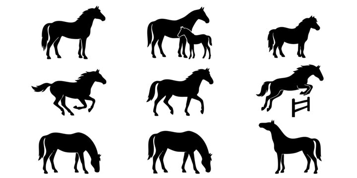 Horse silhouettes set including running, jumping, grazing horses, pony, mare with foal black icons isolated on white background