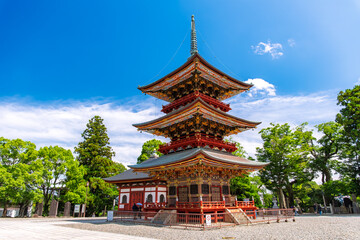 Obraz premium 千葉県成田市 成田山新勝寺 三重塔
