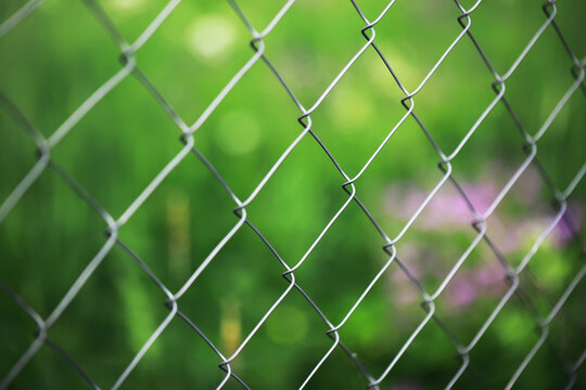 Wire Fence with Soft Focus Greenery in Springtime - Nature and Barrier Concept