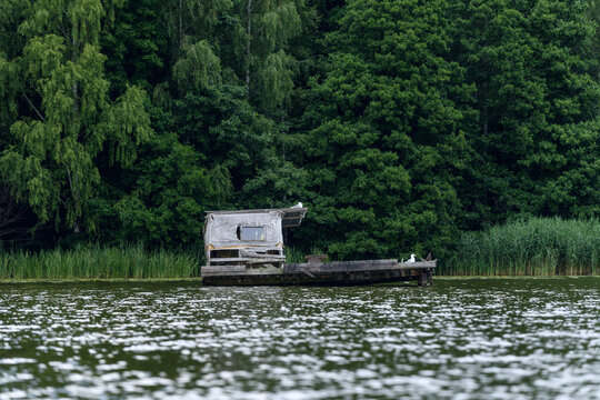 Dilapidated Wooden Fishing Dock on Lake near Forest Shore