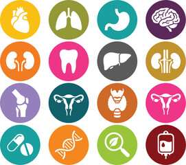 Fototapeta premium Human Internal Organs Colorful Circle Icon Set with Medical Symbols for Anatomy Education Healthcare Applications Hospital Signage and Scientific Infographics