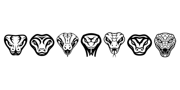 Black and white snake head logo