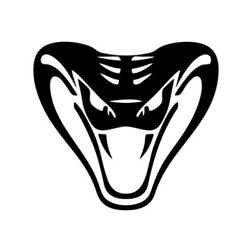 Black and white snake head logo