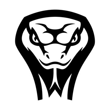 Black and white snake head logo