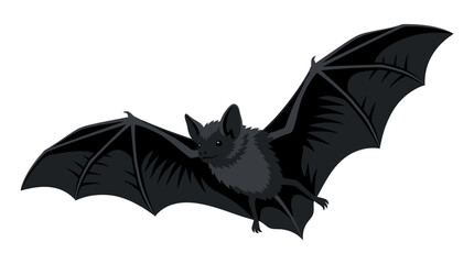Fototapeta premium Black bat flying with spread wings, nocturnal animal vector illustration, spooky halloween bat character isolated on white background