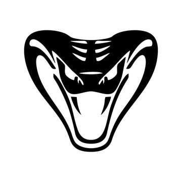 Black and white snake head logo