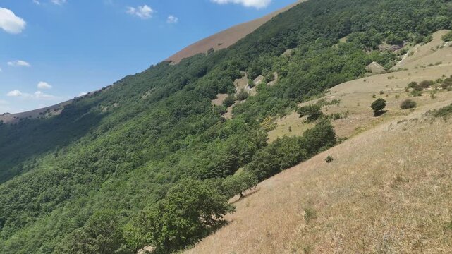 Pendio con erba secca e arbusti isolati che sale verso una zona boschiva verde e fitta, sotto un cielo limpido con poche nuvole. Paesaggio naturale luminoso, vario e incontaminato
