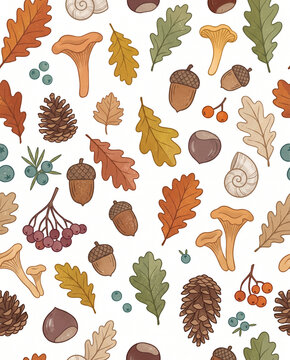 Premium Fall Botanical Seamless Pattern with Scandinavian Oak Leaves, Woodland Chanterelle Mushrooms, Pine Cones, Acorns, Rowan Berries and Forest Nature Elements