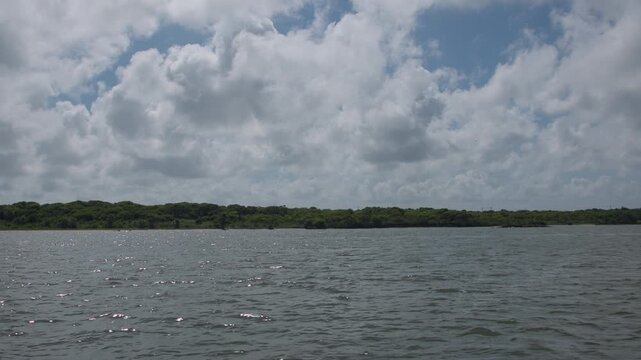 Panoramic view of Galveston oceanfront shows calm water, lush shoreline, and textured clouds in natural daylight, captured in a wide landscape shot.