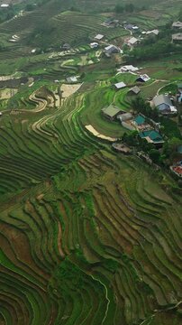 Aerial Vertical View of Rice Terraces and Mountain Village in Sa Pa, Lao Cai, Vietnam