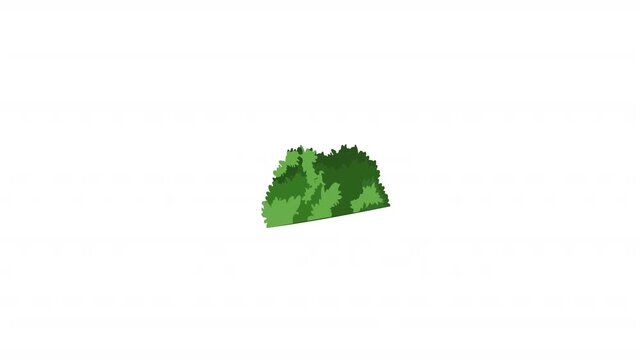 Natural Green Bushes 
