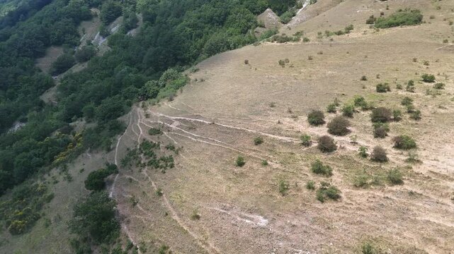 Pendio arido con erba secca e arbusti sparsi che si apre verso una zona boschiva verde e fitta, in un paesaggio naturale luminoso e incontaminato
