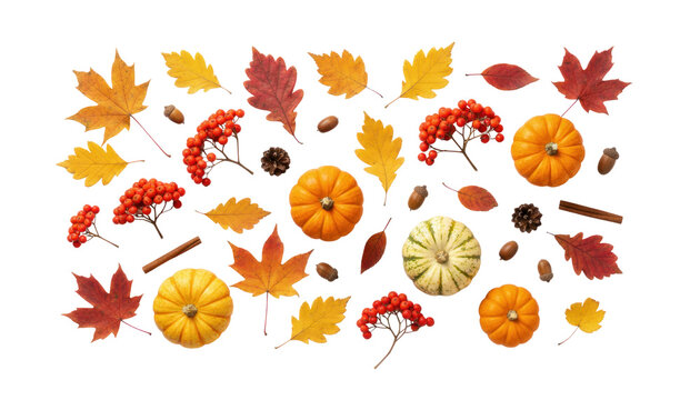 Autumn flat lay with pumpkins and colorful fall leaves, seasonal harvest arrangement, thanksgiving decoration concept isolated PNG with Transparent Background