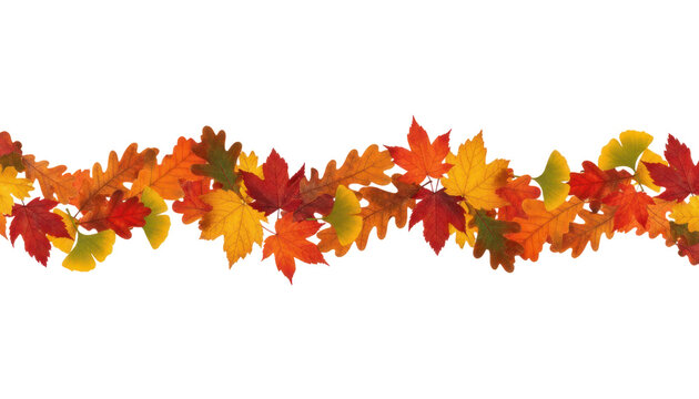 Autumn leaf garland border, colorful fall foliage banner with orange red yellow maple leaves, seasonal decoration design element isolated PNG with Transparent Background