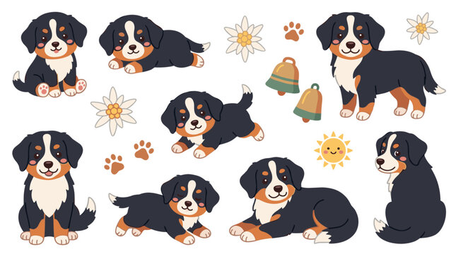 Set of bernese mountain dog puppies in various poses with edelweiss flowers and bells, charming pet stickers for scrapbooking and digital decor