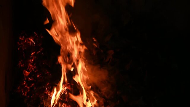 Leaves are raked, and burning leaves is a common cleanup practice to remove winter-damaged foliage in countryside areas. Moist leaves, which tend to burn slowly, give off more smoke than dry leaves.