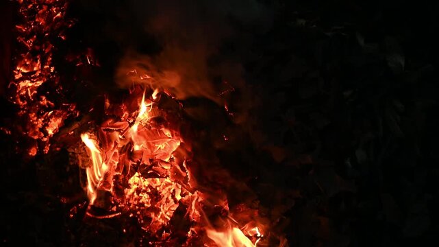 Leaves are raked, and burning leaves is a common cleanup practice to remove winter-damaged foliage in countryside areas. Moist leaves, which tend to burn slowly, give off more smoke than dry leaves.